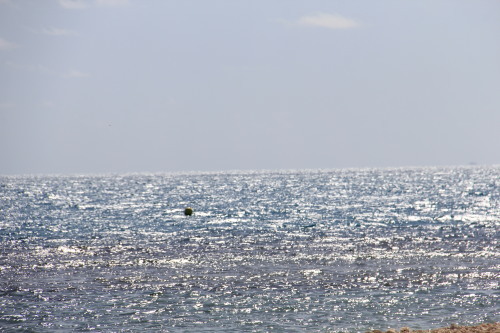 c0011649_01363624.jpg
