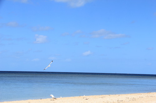 c0011649_01413201.jpg