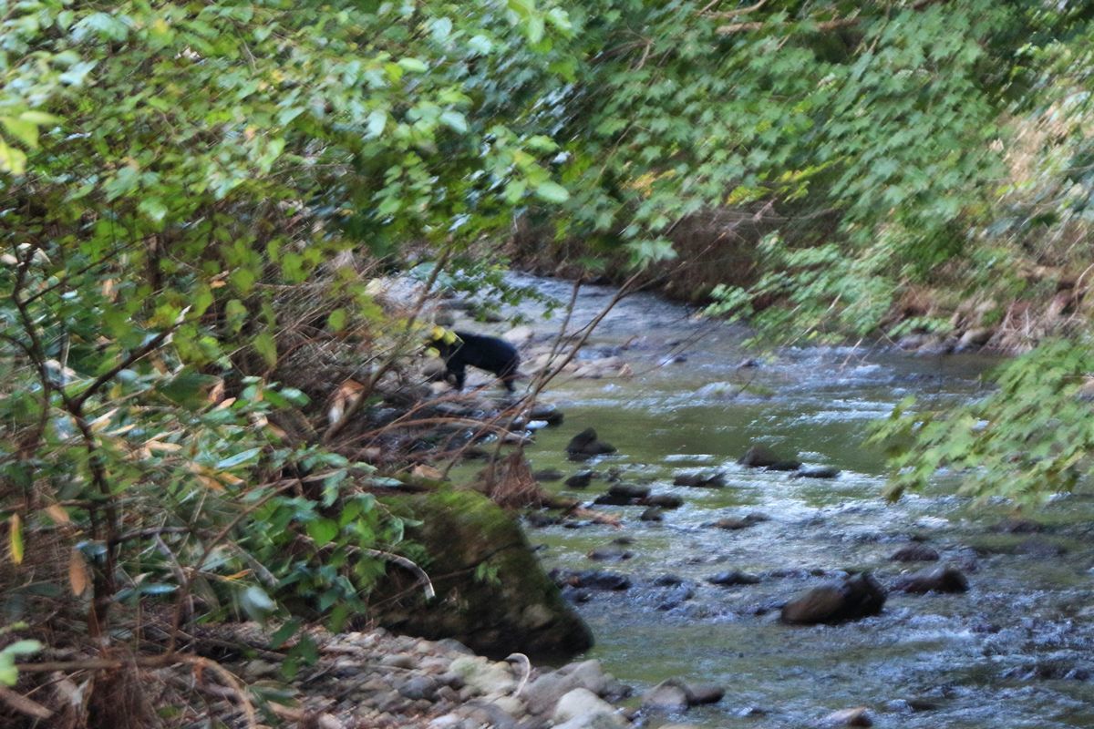 c0294658_08193616.jpg