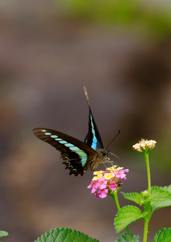 a0248459_15081106.jpg