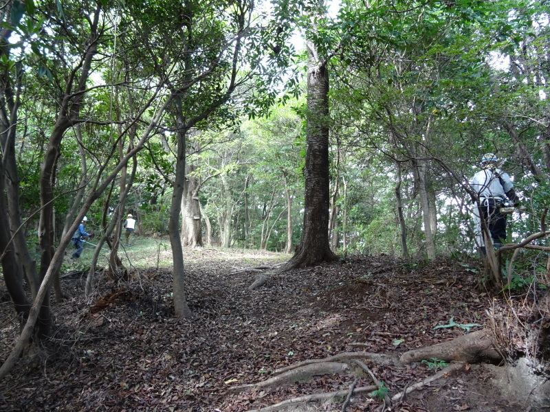 c0108460_21473923.jpg