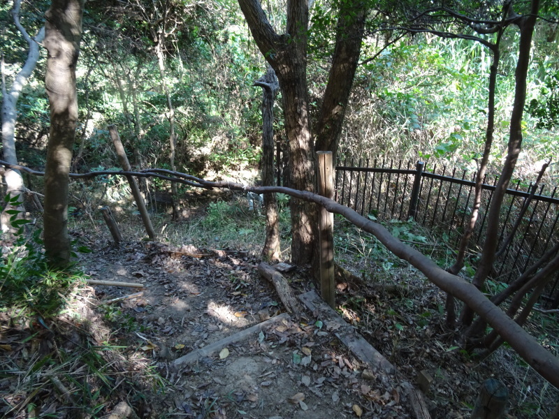 c0108460_21511319.jpg