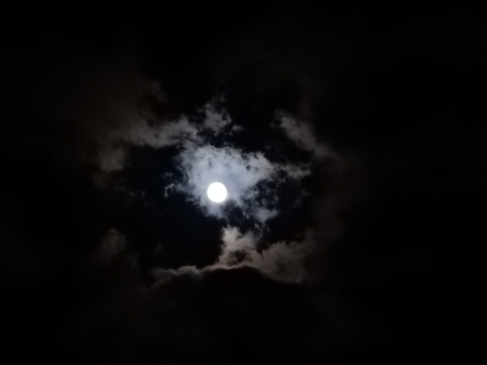 ’17,10,5(木)十五夜と秋の田舎道!_f0060461_14424887.jpg