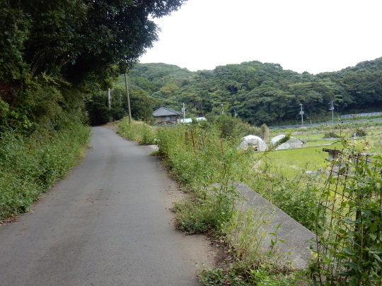 ’17,10,5(木)十五夜と秋の田舎道!_f0060461_15142910.jpg