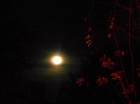 c0221565_09475235.jpg