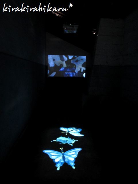 e0173670_15260369.jpg