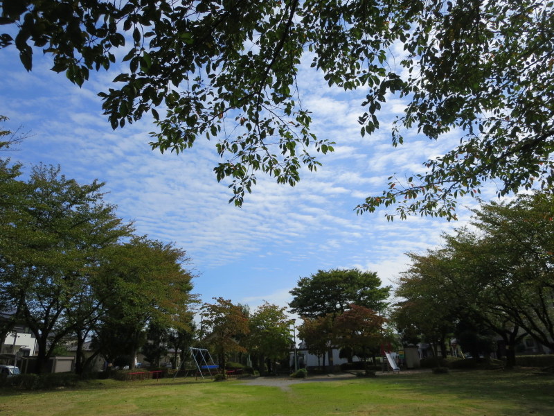 d0264176_20514859.jpg