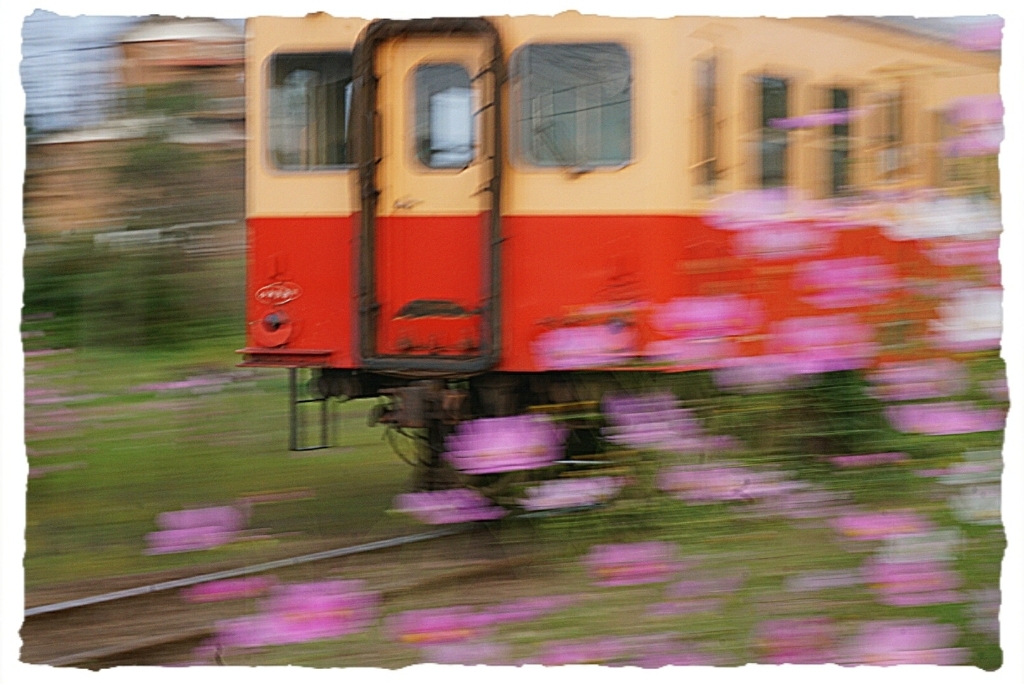 d0341483_20522777.jpg