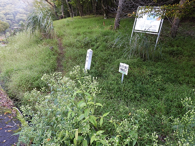 f0357487_2233497.jpg