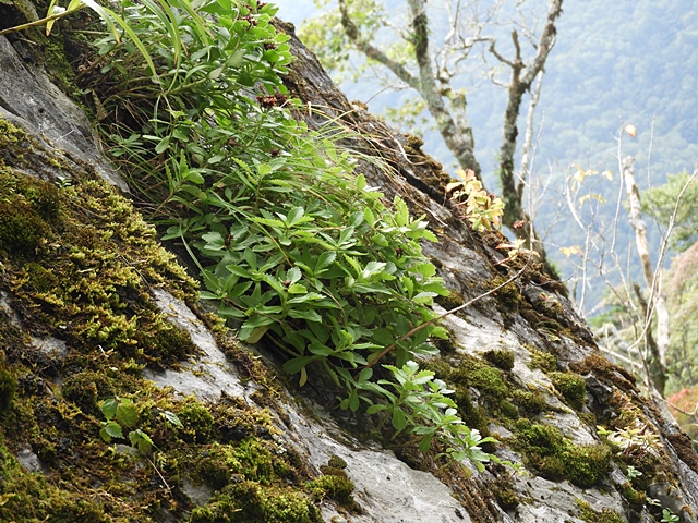 f0357487_23134290.jpg