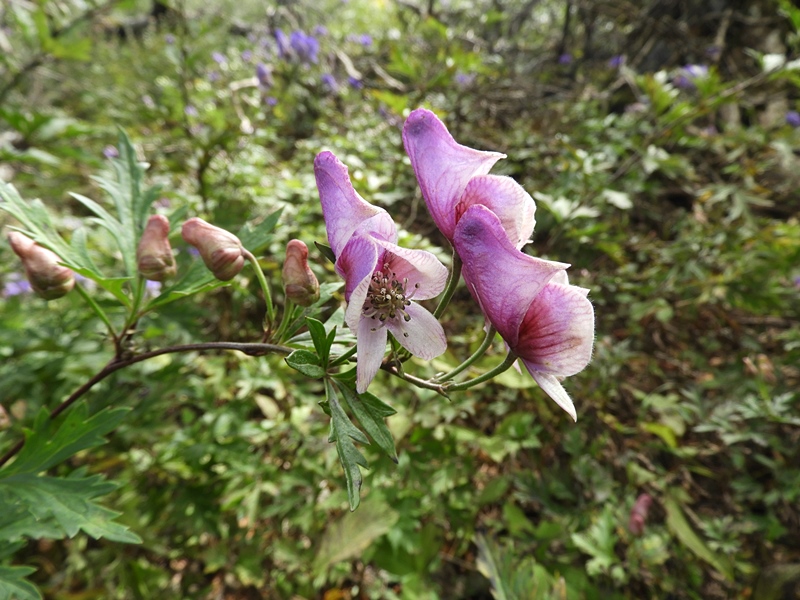 f0357487_23385169.jpg