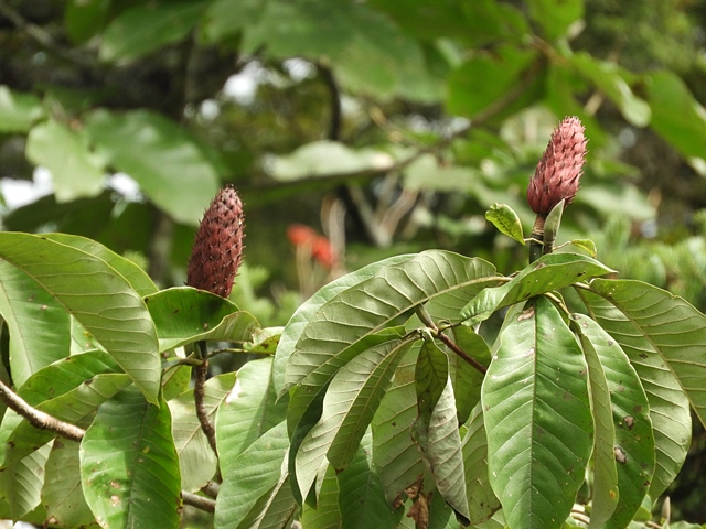 f0357487_23404181.jpg