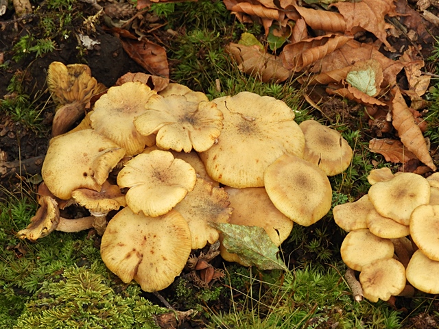 f0357487_23414910.jpg
