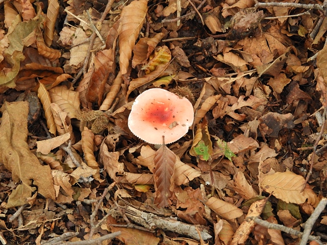 f0357487_23451326.jpg