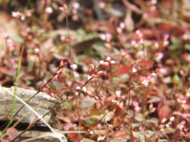 f0357487_23461670.jpg