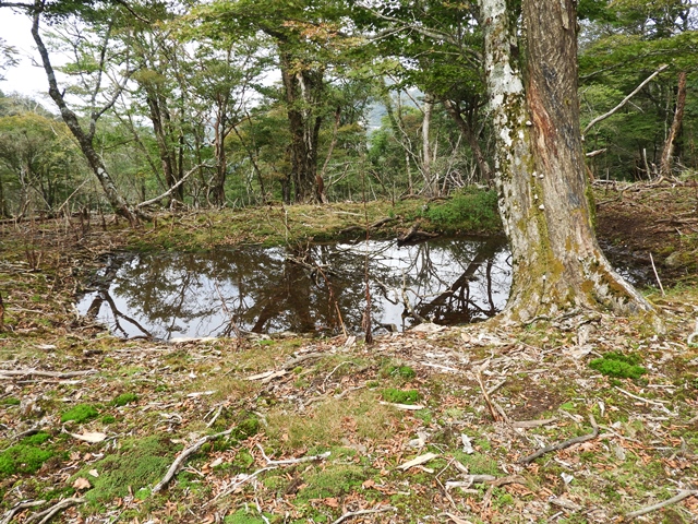 f0357487_23484238.jpg