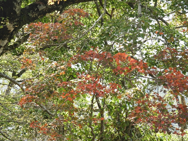 f0357487_2351127.jpg