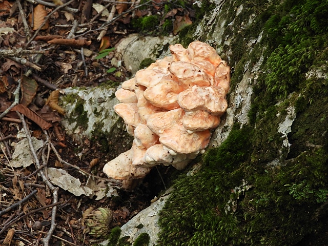 f0357487_23544123.jpg