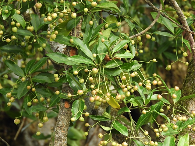 f0357487_2362820.jpg