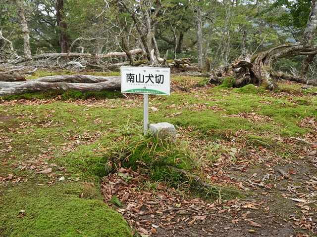f0357487_2375946.jpg