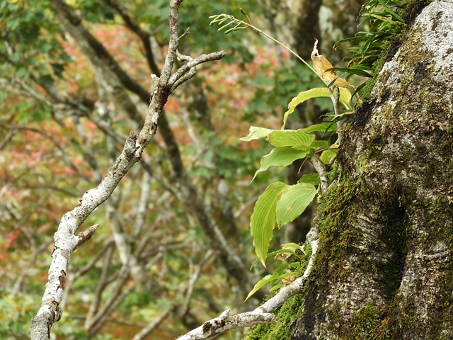 f0357487_2383742.jpg