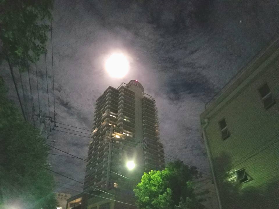 c0186691_10594996.jpg