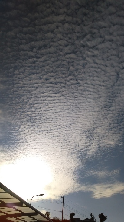 d0318191_21594347.jpg