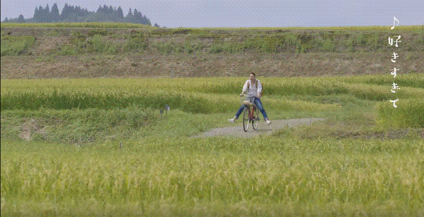 e0199691_00105934.gif