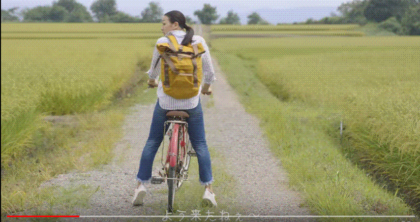 e0199691_00130705.gif