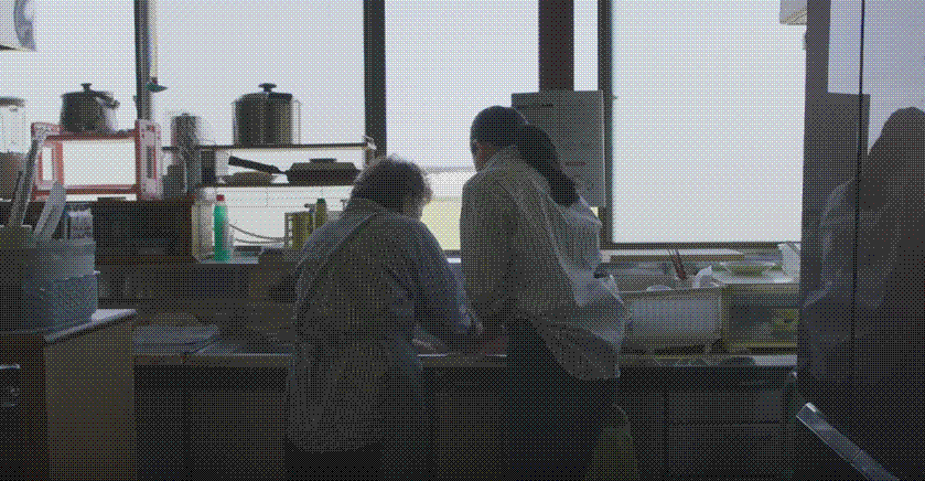 e0199691_00192039.gif