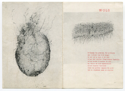 WOLS　ヴォルス　画集　ドイツ語 WOLS From the street to the Cosmos ヴォルス 路上から宇宙へ