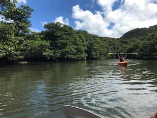 沖縄県　西表島ピナイサーラの滝へ行ってきました！_d0337795_20203759.jpg