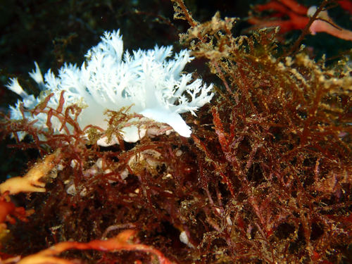 f0297095_2525911.jpg