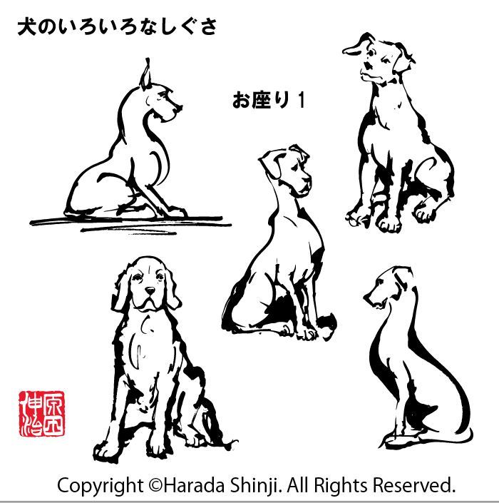 18年干支 犬の描き方 犬のいろいろなしぐさ編 のイラスト 筆一本あれば人生は楽し イラストレーター原田伸治