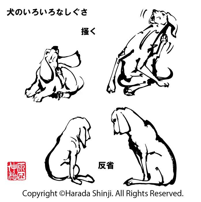 2018年干支　犬の描き方　「犬のいろいろなしぐさ編」のイラスト_e0309396_11440771.jpg