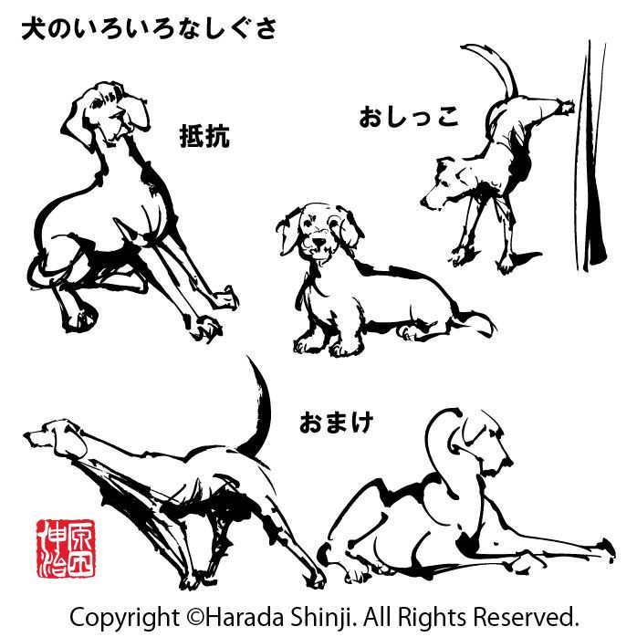 2018年干支　犬の描き方　「犬のいろいろなしぐさ編」のイラスト_e0309396_11441890.jpg