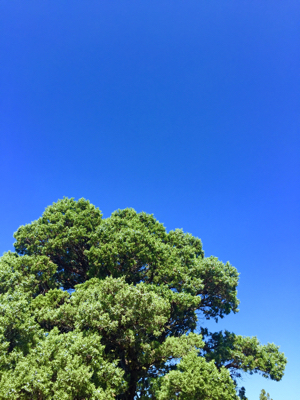e0184598_09255096.jpg