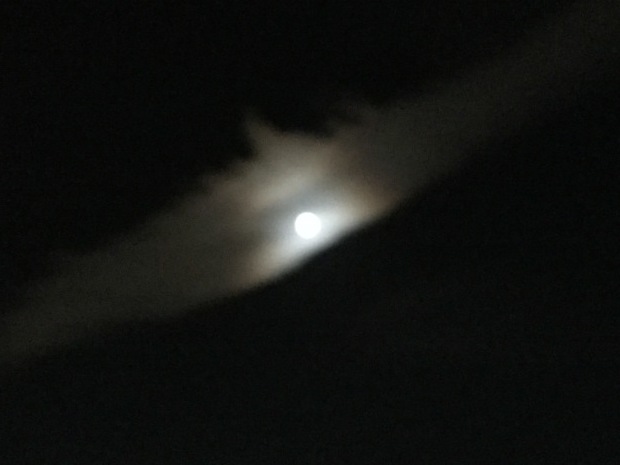e0365999_00045244.jpg