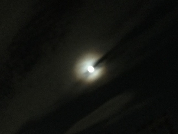 e0365999_00050542.jpg