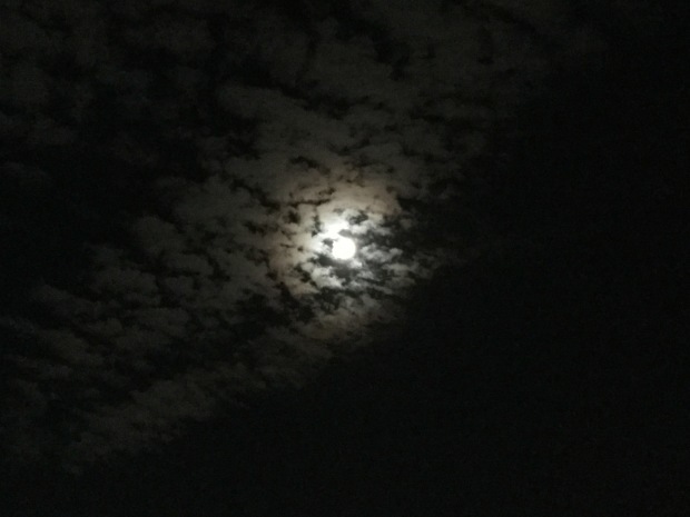 e0365999_00052904.jpg