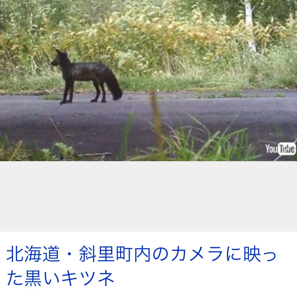 b0301400_12221895.png