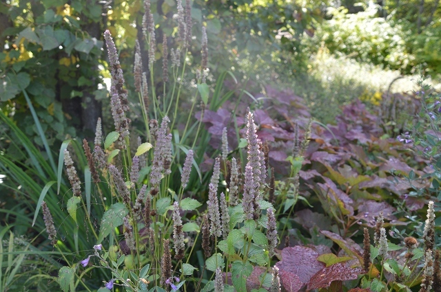 c0124100_14113409.jpg