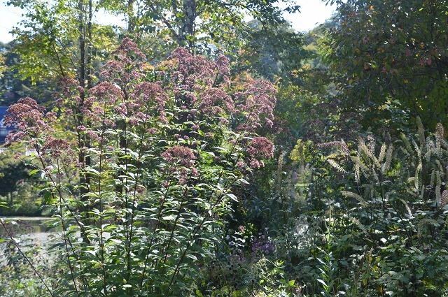 c0124100_14114717.jpg