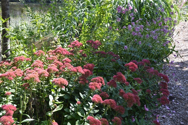 c0124100_14115721.jpg