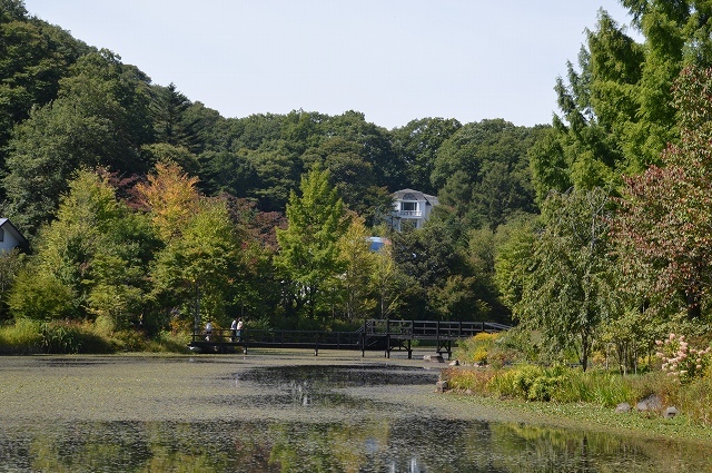 c0124100_14120443.jpg