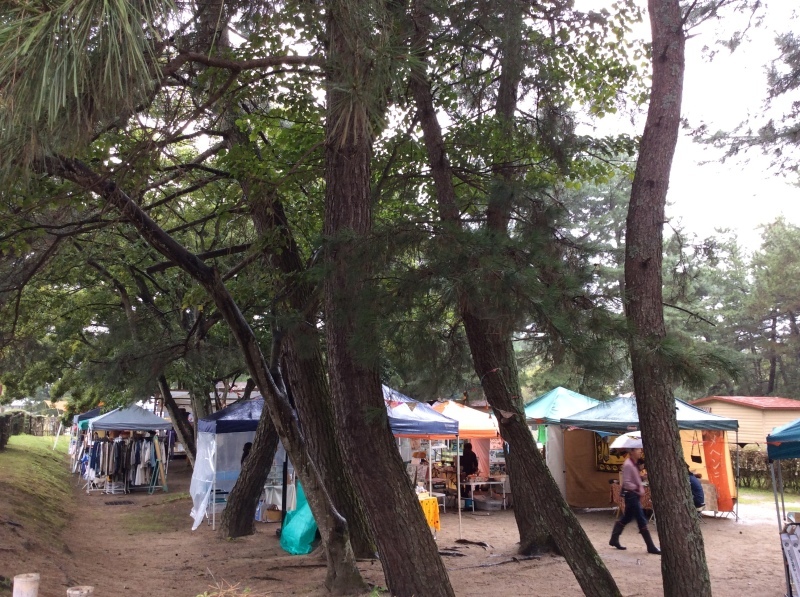 b0220002_23090643.jpeg