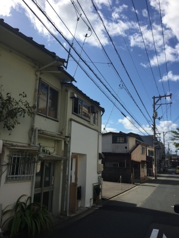 Mちゃん帰省 念願の necco70_e0115904_01333081.jpg