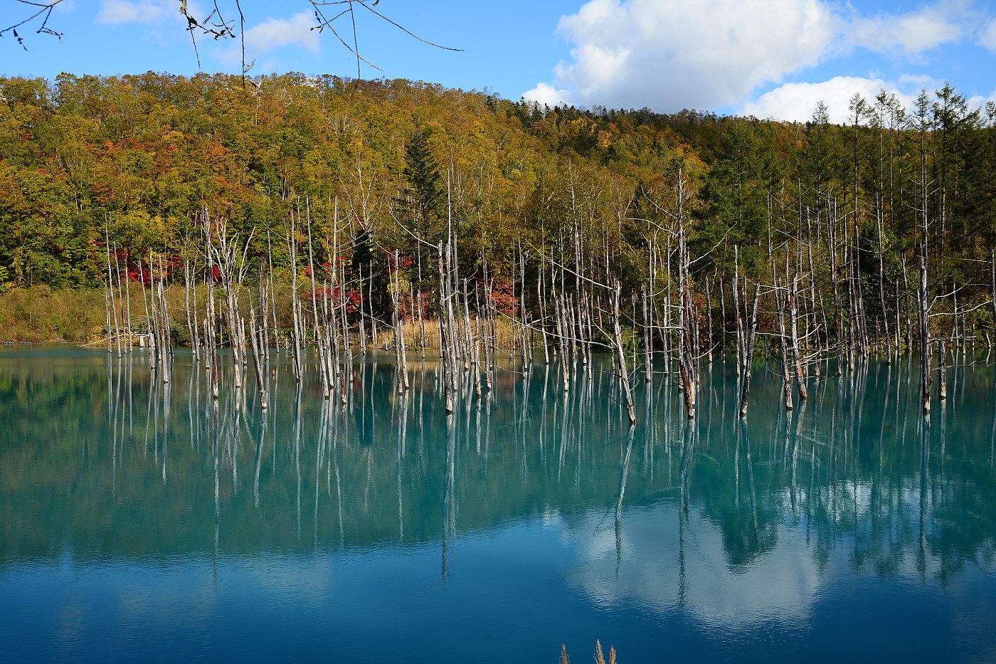 a0248508_16004958.jpg