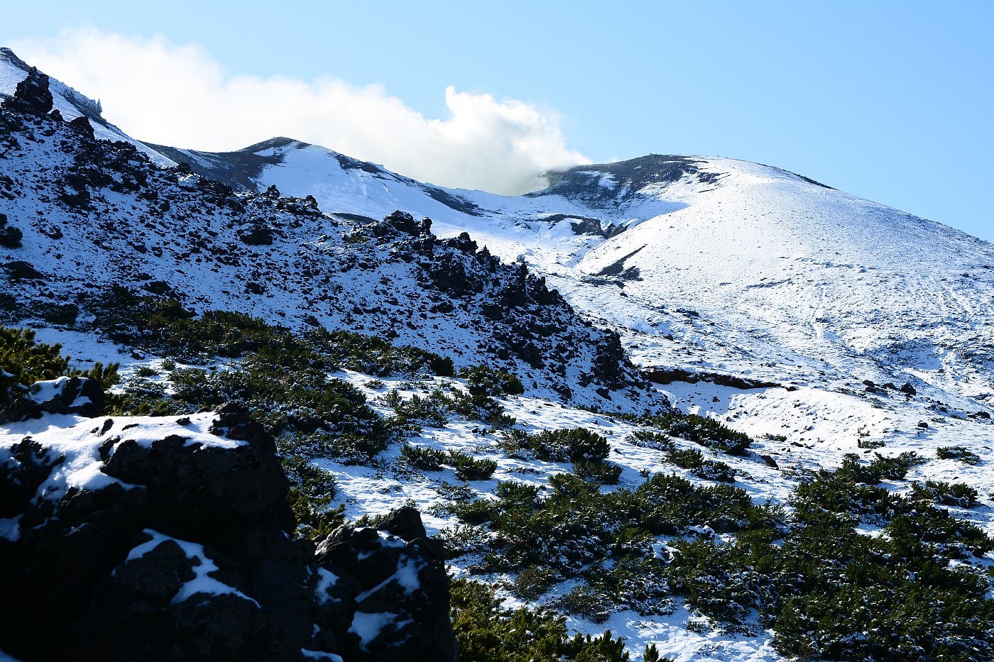 a0248508_16142628.jpg