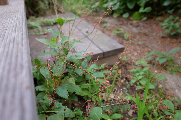 e0271409_21105056.jpg